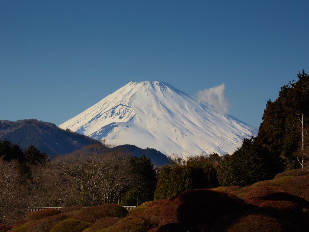Hotel De Yama - Views of Mount Fuji